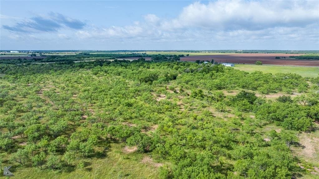 59.97 acres in Runnels County - photo 14