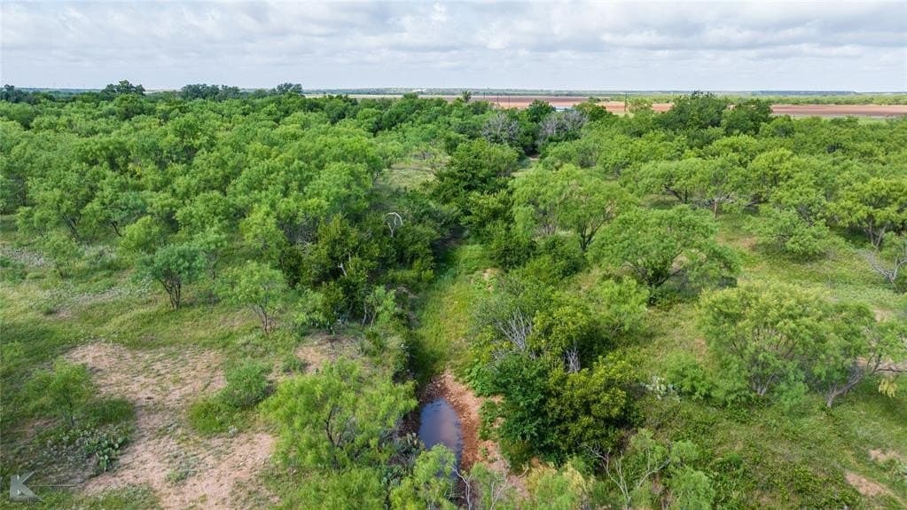 59.97 acres in Runnels County - photo 16