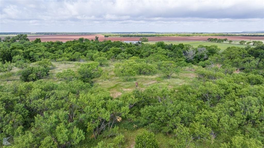 59.97 acres in Runnels County - photo 11