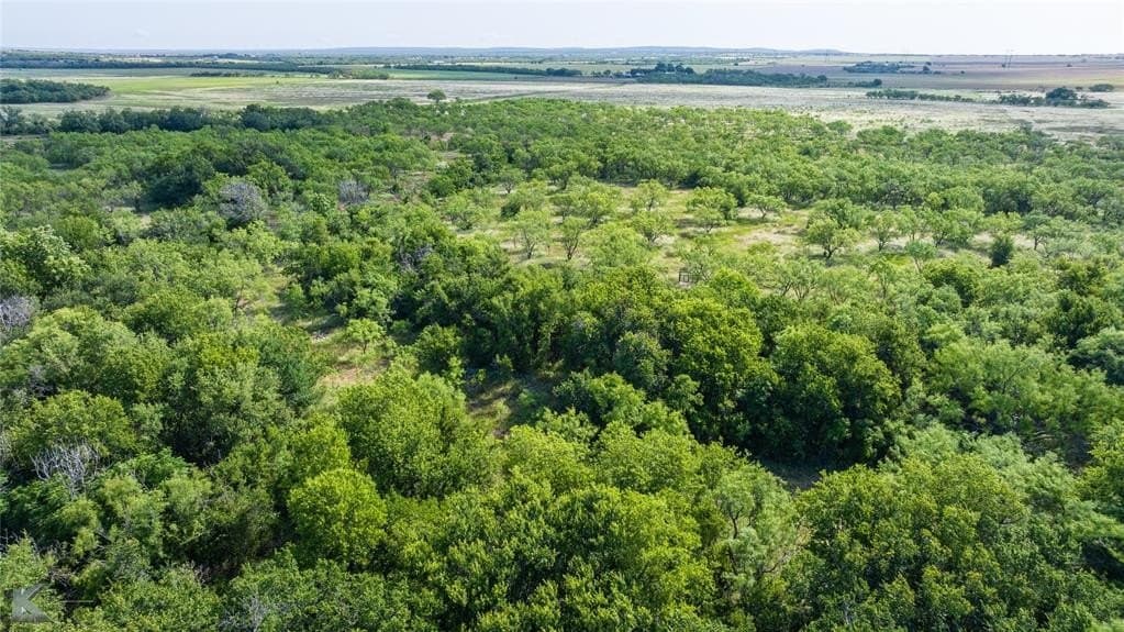 59.97 acres in Runnels County - photo 9