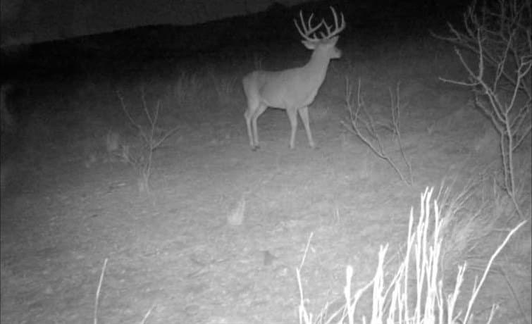 80 acres in Taylor County - photo 10