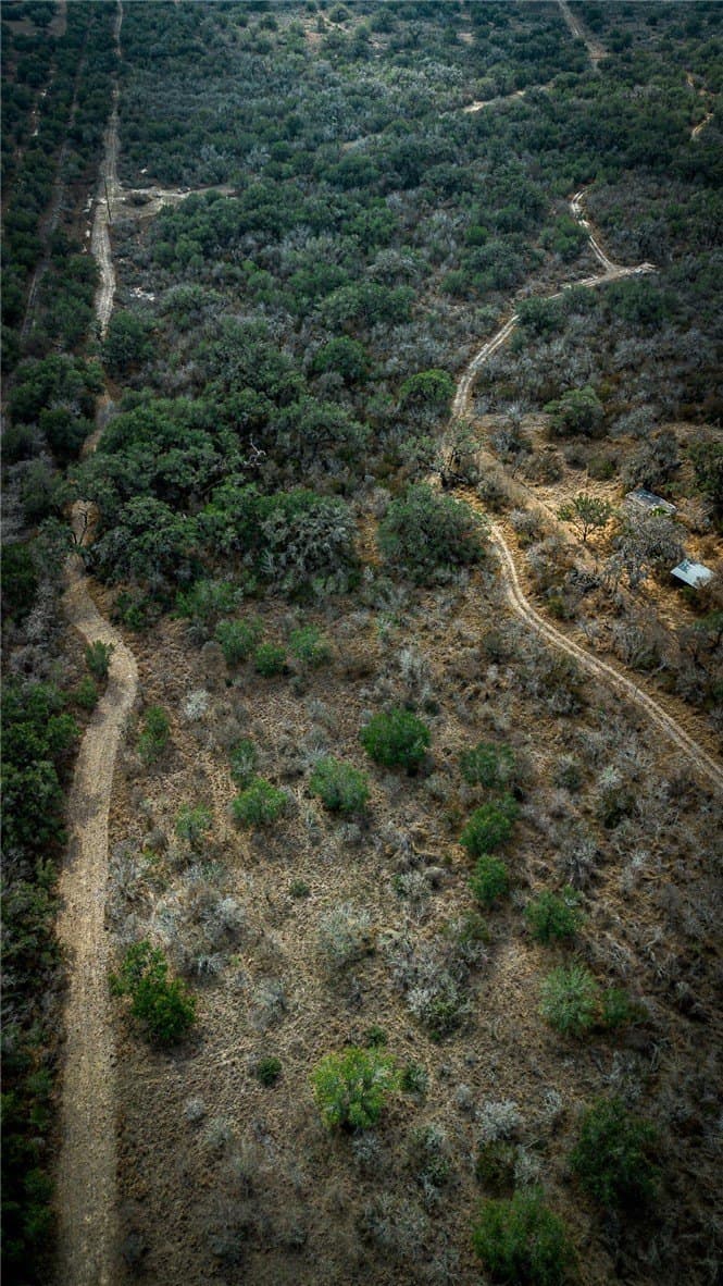 20.67 acres in Bee County - photo 4