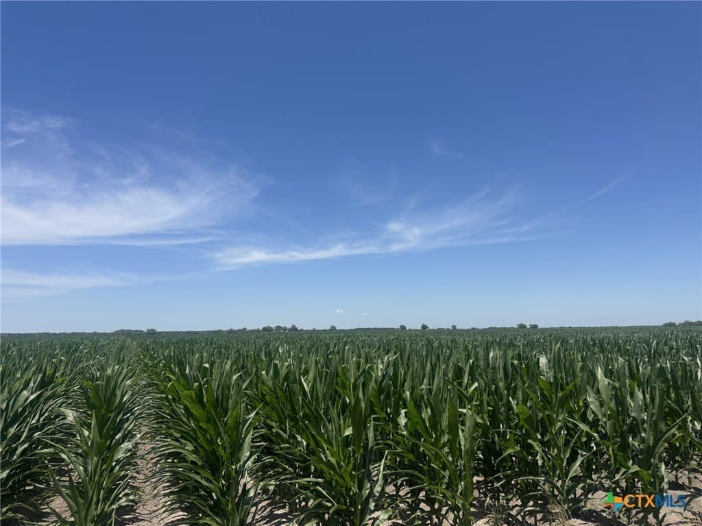 41.04 acres in Wharton County - photo 21