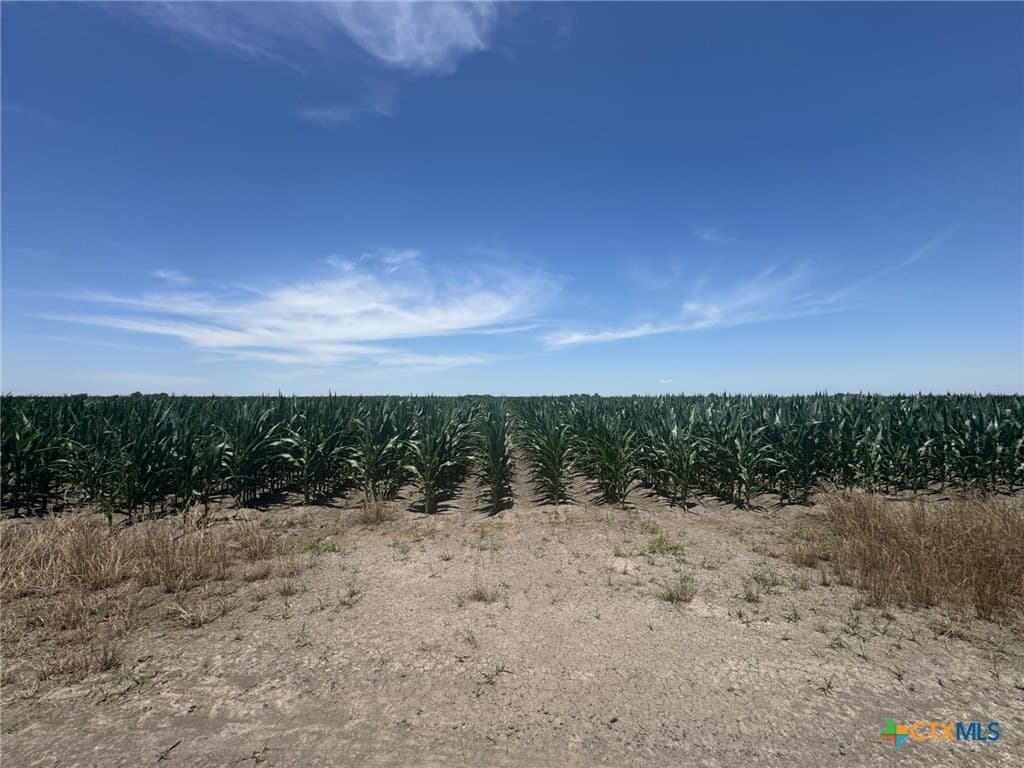 41.04 acres in Wharton County - photo 20