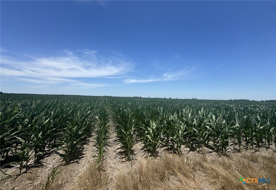 41.04 acres in Wharton County - photo 22