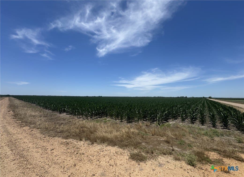 41.04 acres in Wharton County - photo 16