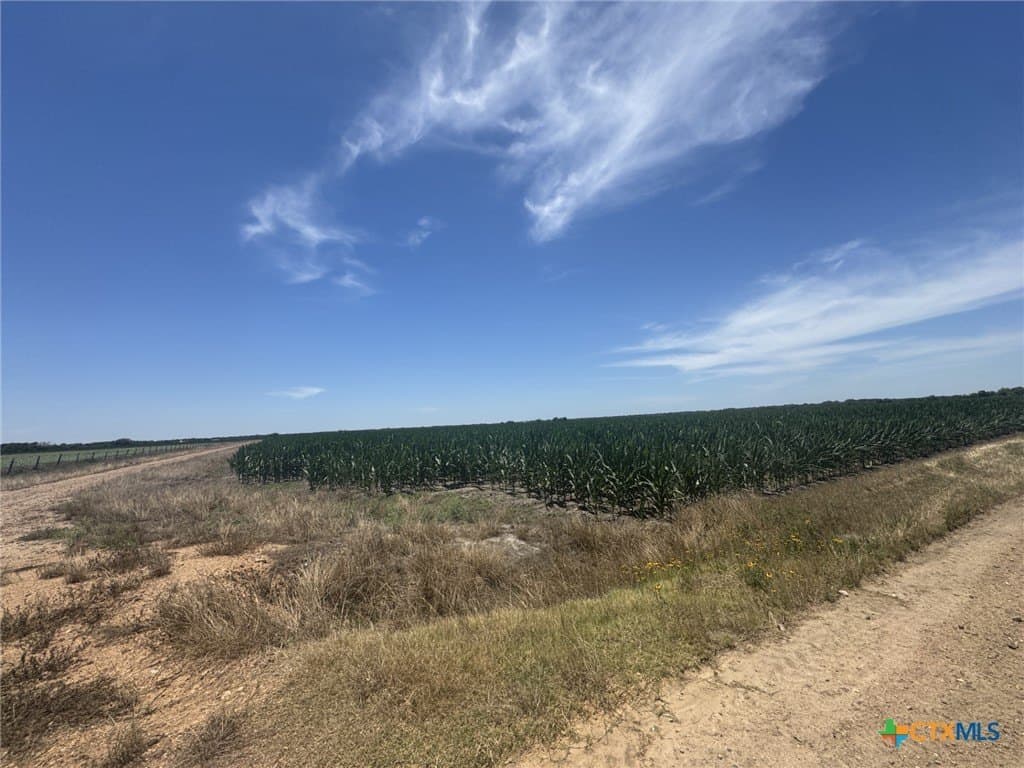 41.04 acres in Wharton County - photo 17