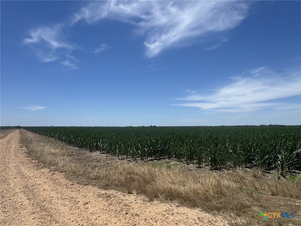 41.04 acres in Wharton County - photo 15