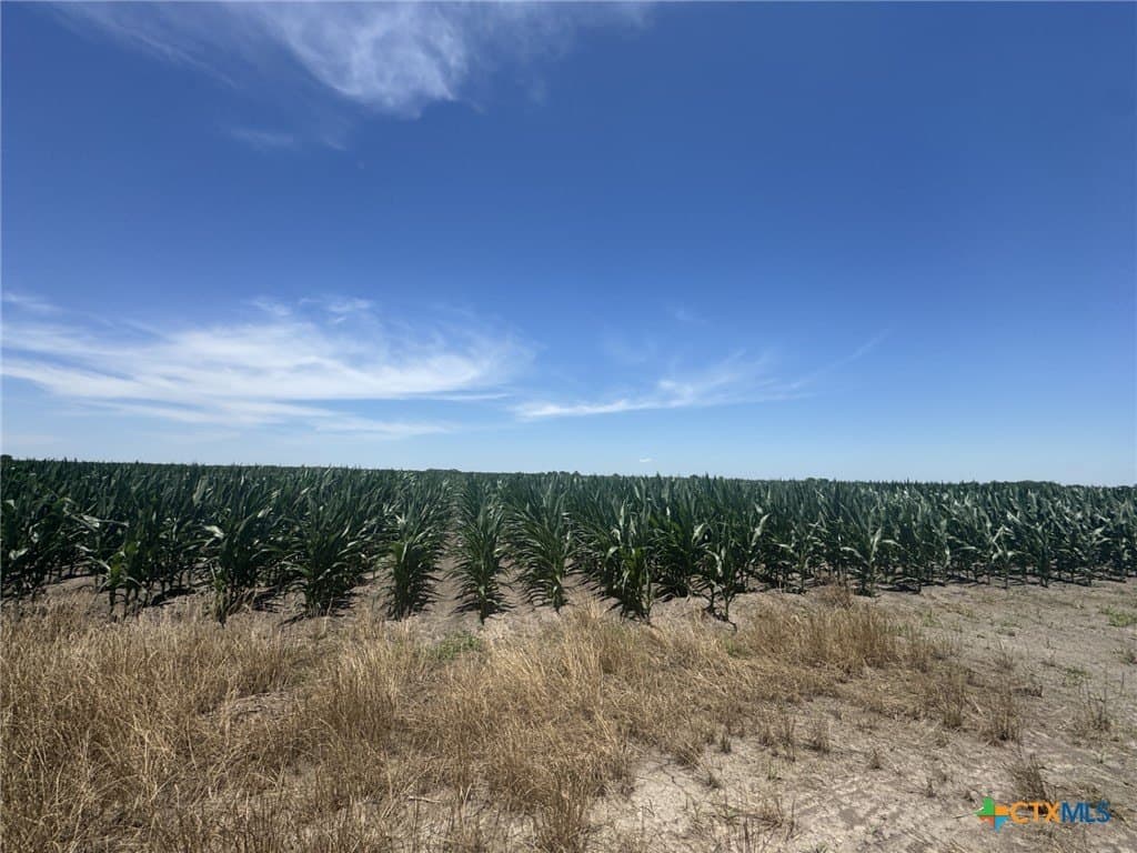 41.04 acres in Wharton County - photo 19