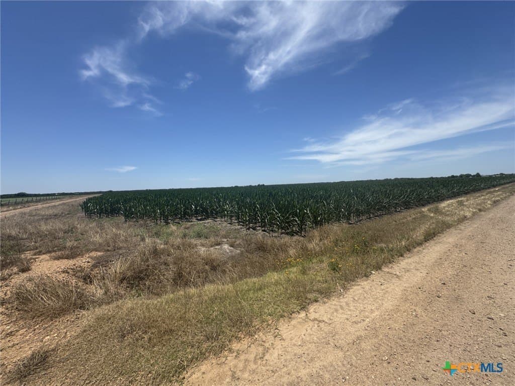 41.04 acres in Wharton County - photo 18