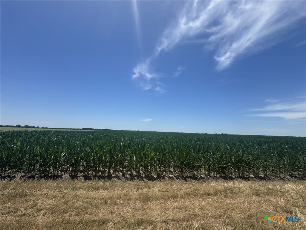 41.04 acres in Wharton County - photo 2