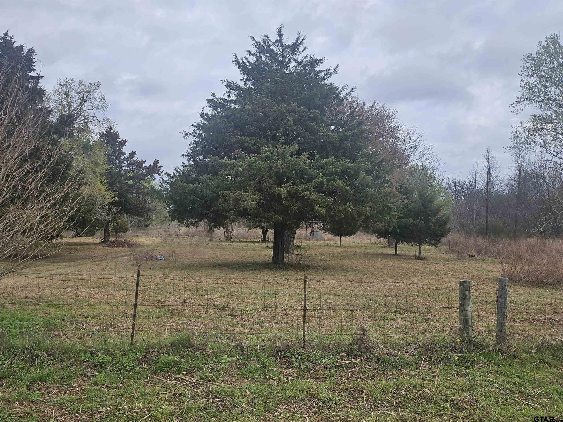 5 acres in Smith County - photo 2