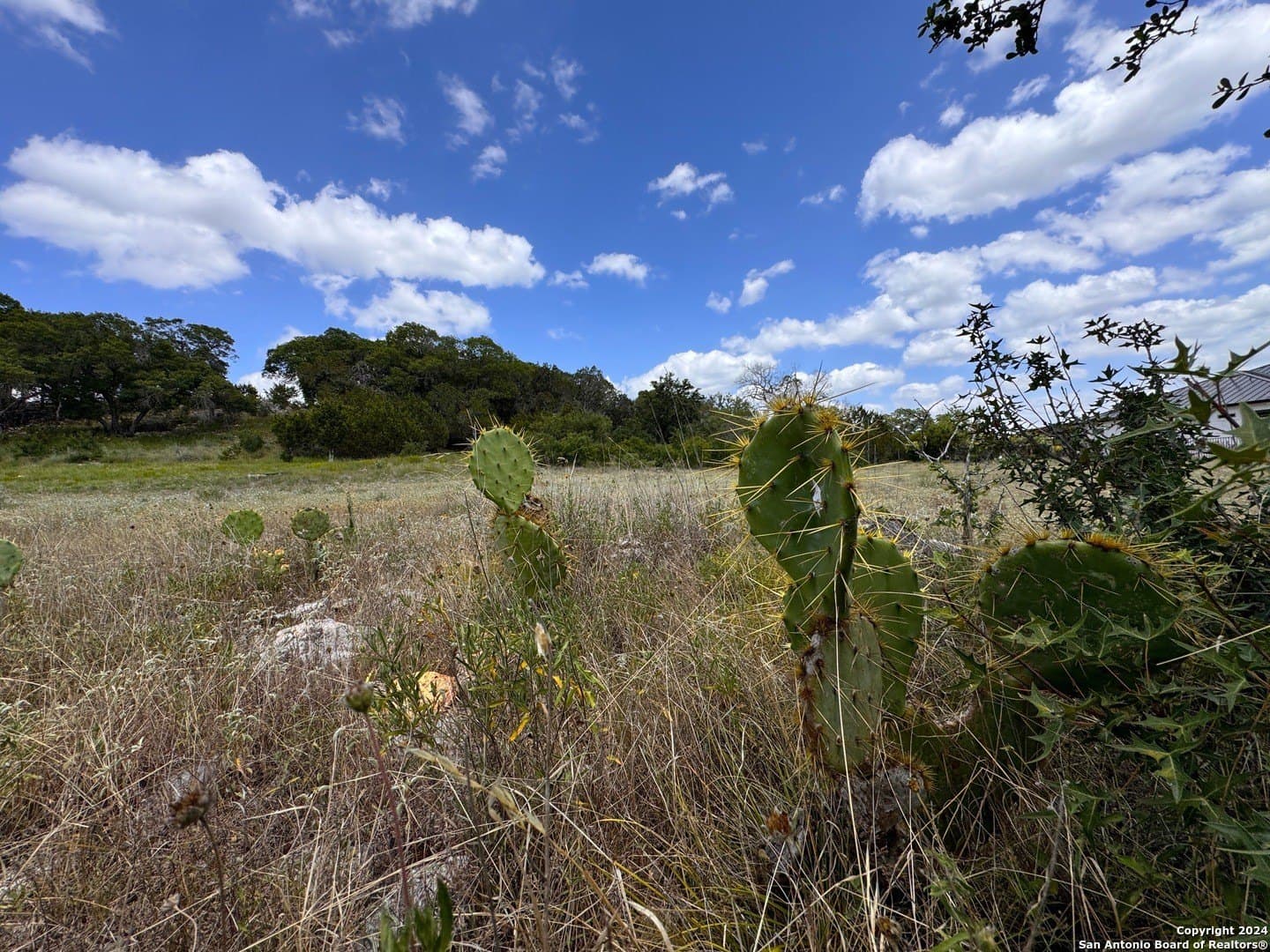 1.28 acres in Comal County - photo 13