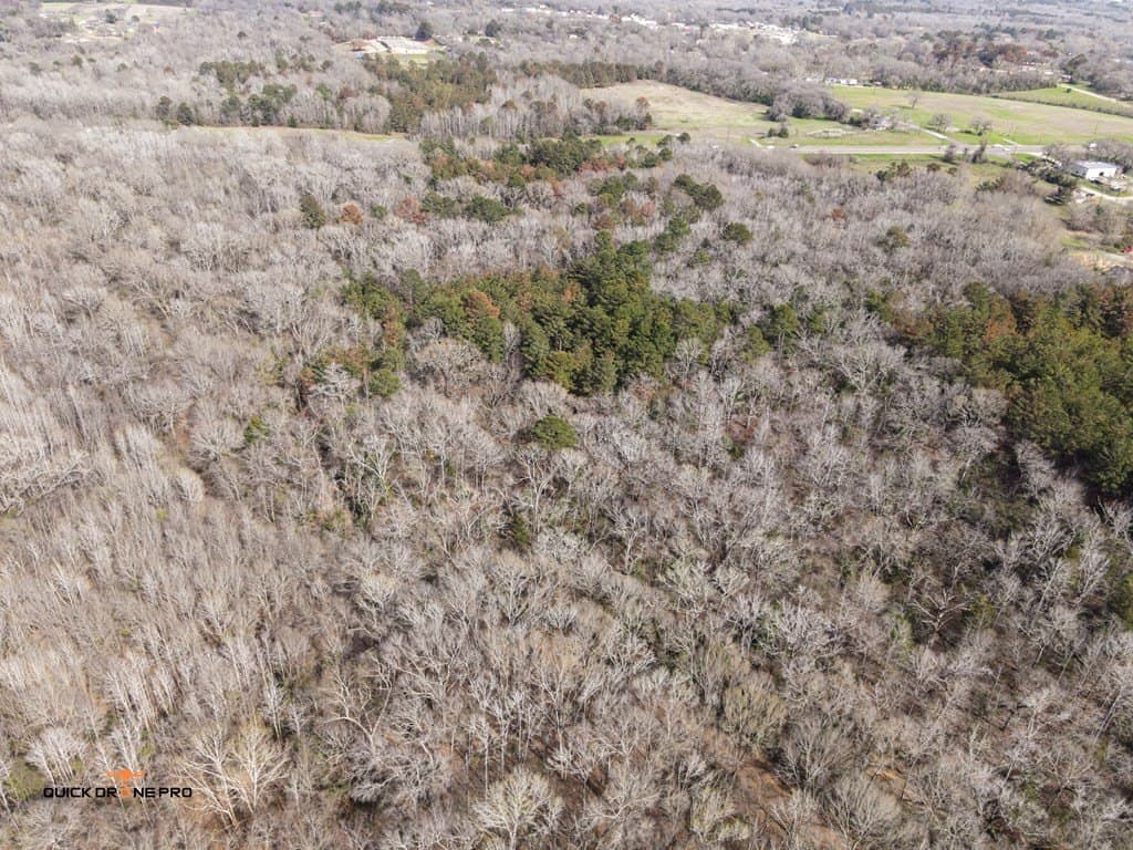 53.4 acres in ANDERSON County - photo 6