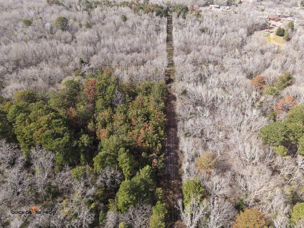 53.4 acres in ANDERSON County - photo 8