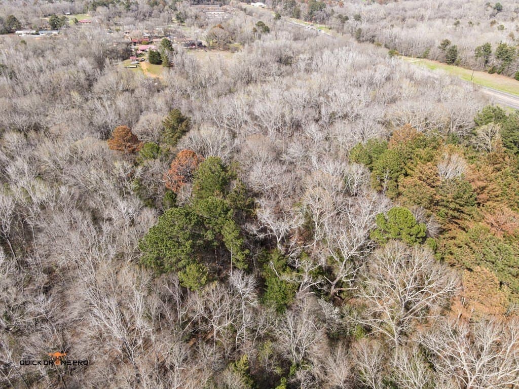 53.4 acres in ANDERSON County - photo 9