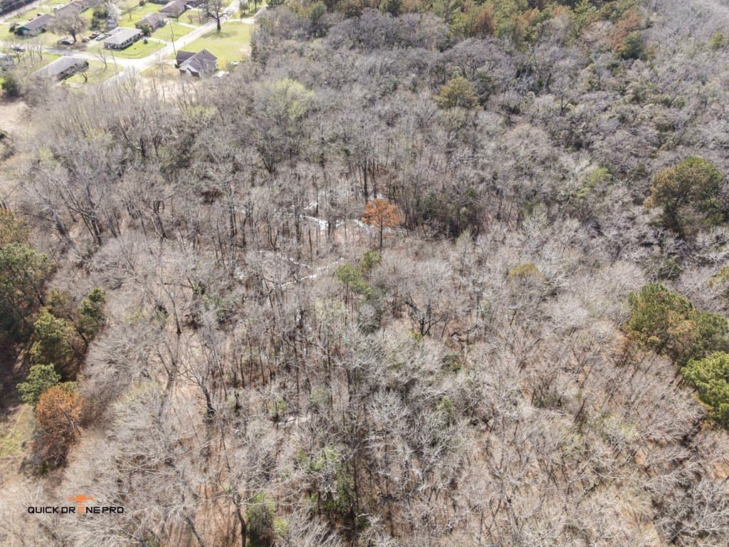 53.4 acres in ANDERSON County - photo 7