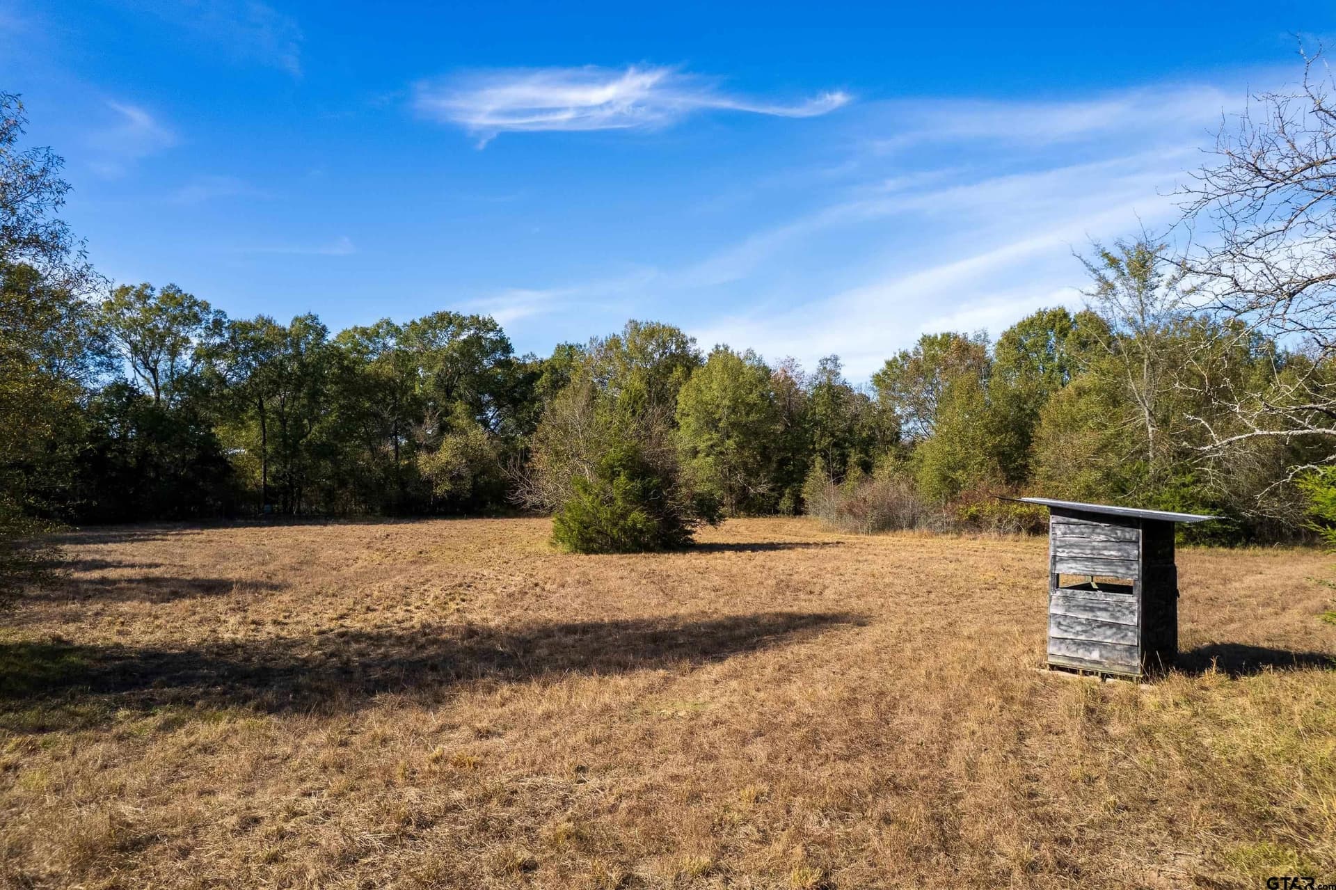 38.79 acres in Titus County - photo 4