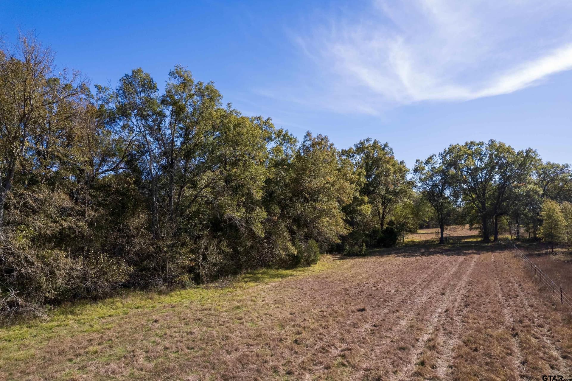 38.79 acres in Titus County - photo 6