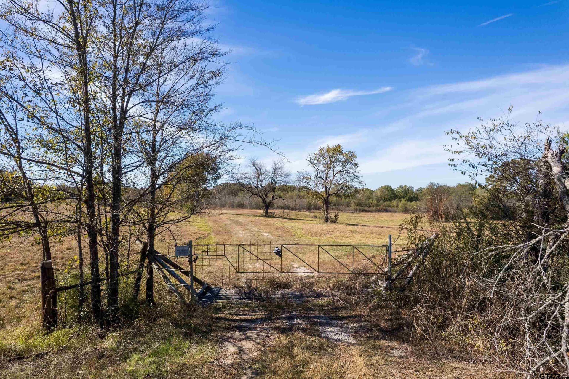 38.79 acres in Titus County - photo 3