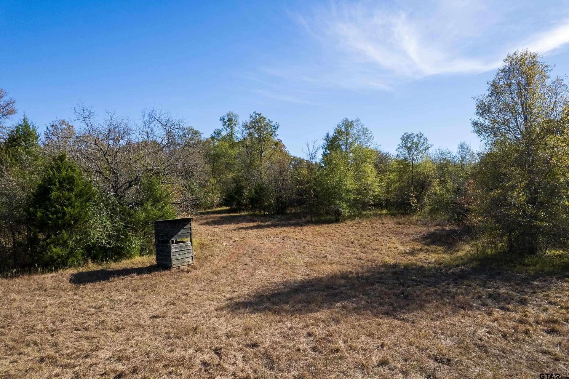 38.79 acres in Titus County - photo 10