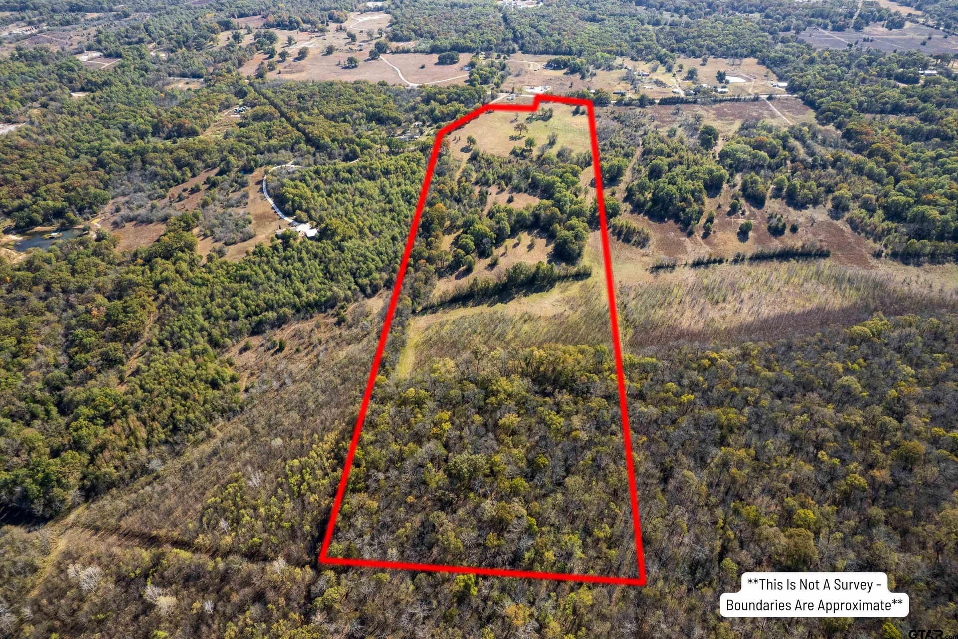 38.79 acres in Titus County - photo 2