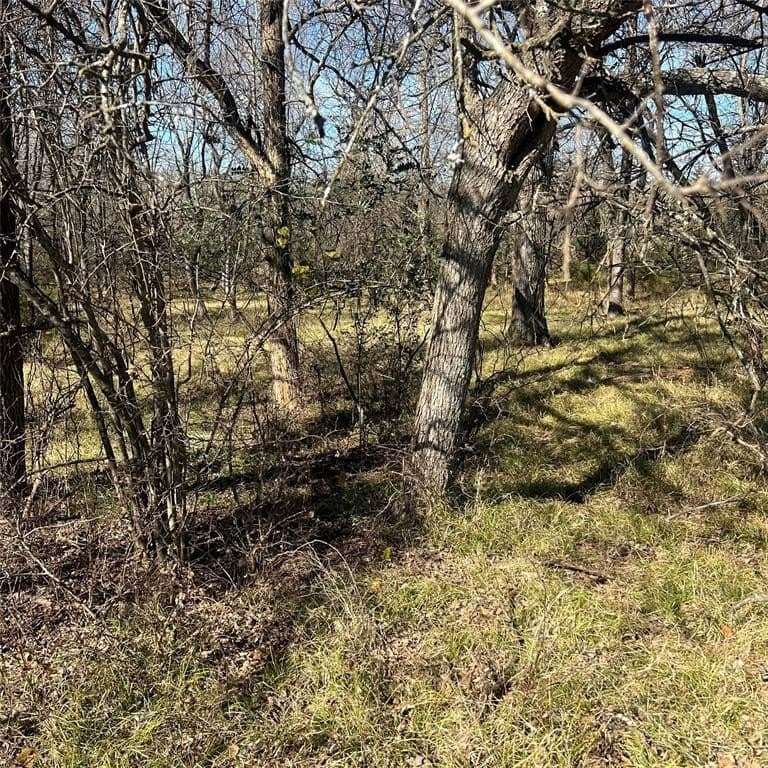 10 acres in Hopkins County - photo 5