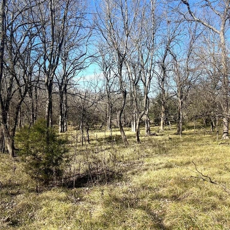10 acres in Hopkins County - photo 4