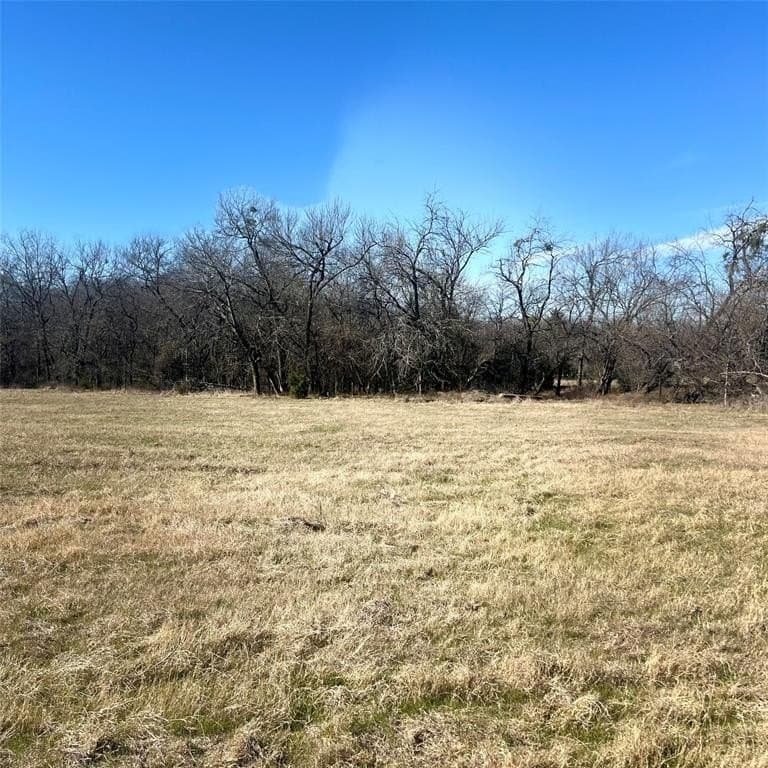 10 acres in Hopkins County - photo 8