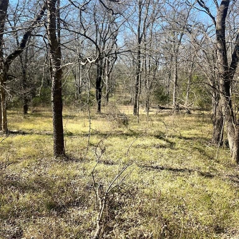 10 acres in Hopkins County - photo 3