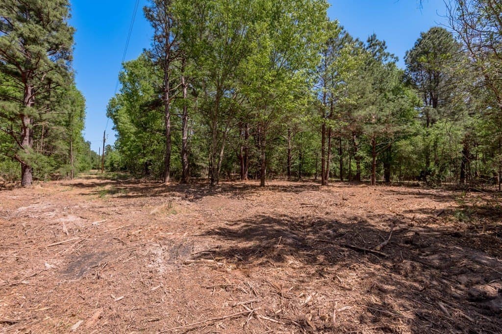 1.17 acres in HOUSTON County - photo 9