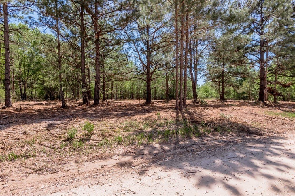 1.17 acres in HOUSTON County - photo 4