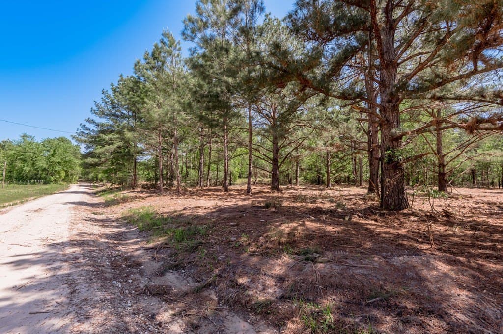 1.17 acres in HOUSTON County - photo 5