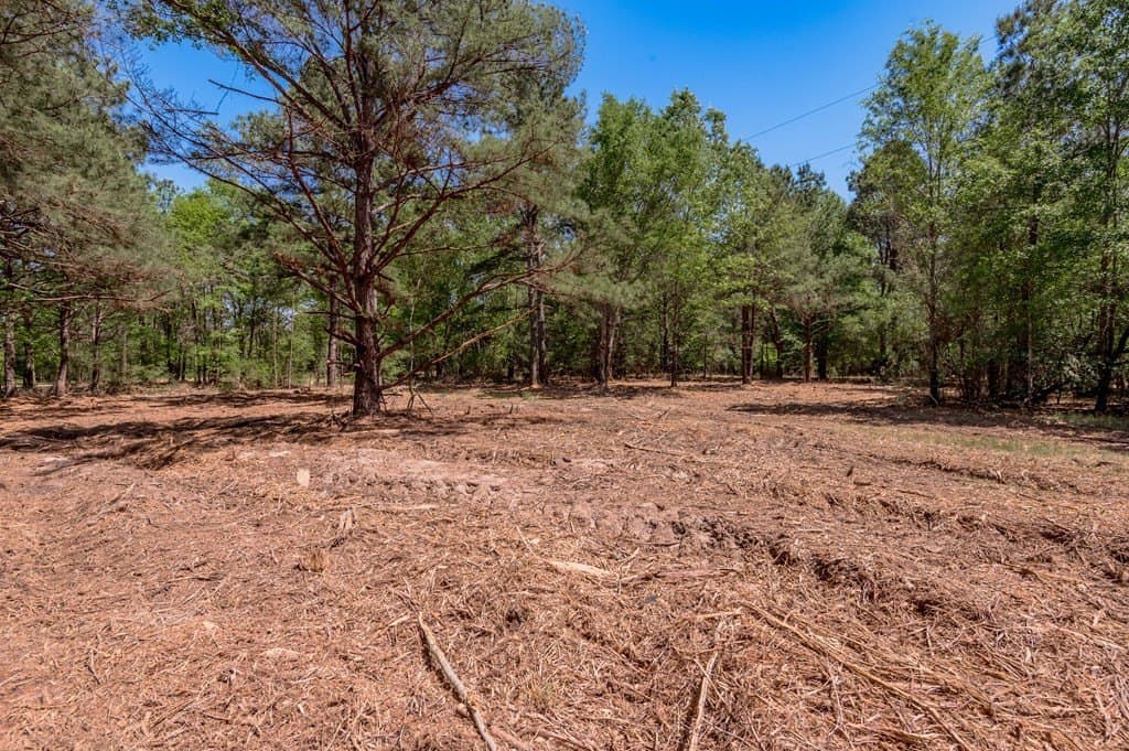 1.17 acres in HOUSTON County - photo 7