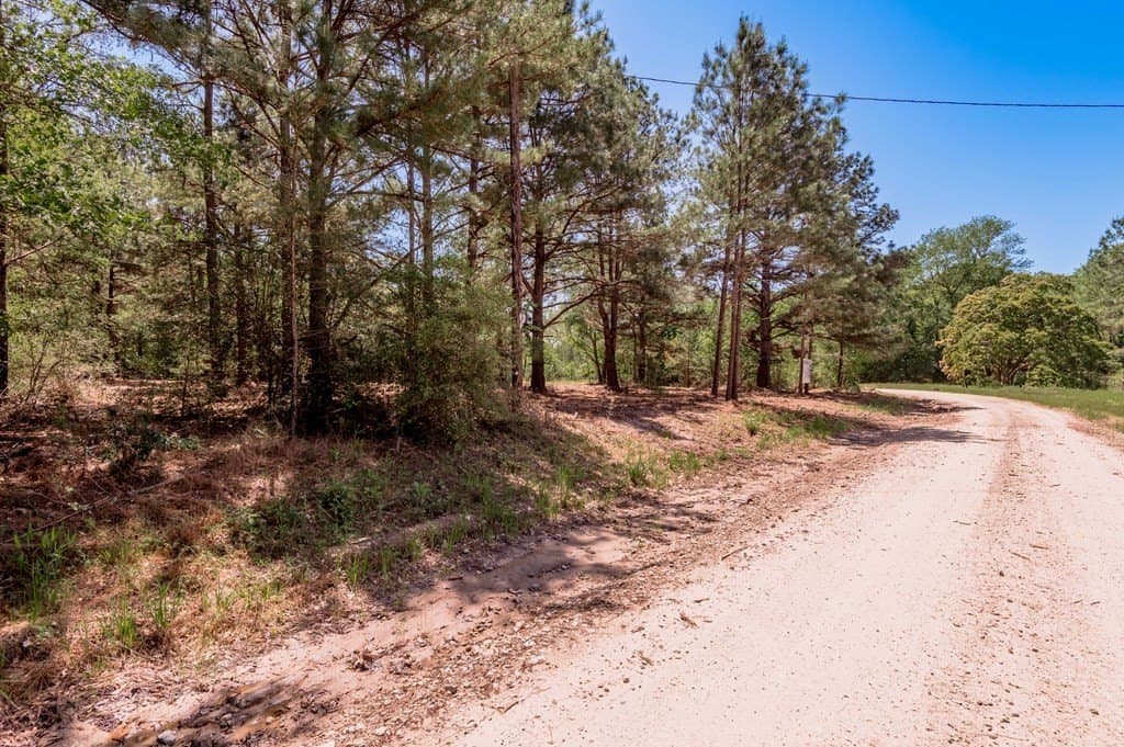 1.17 acres in HOUSTON County - photo 3