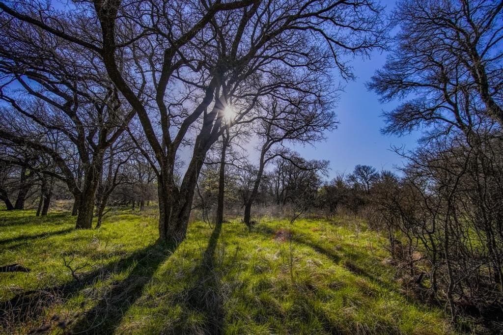 26.68 acres in Jack County - photo 37