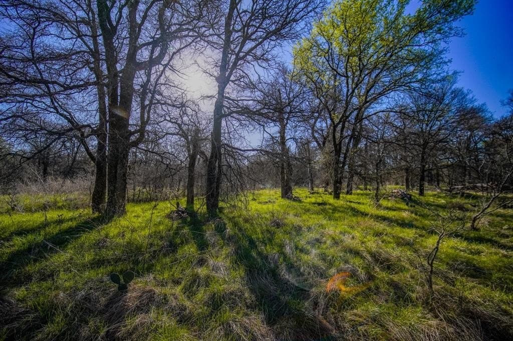 26.68 acres in Jack County - photo 35
