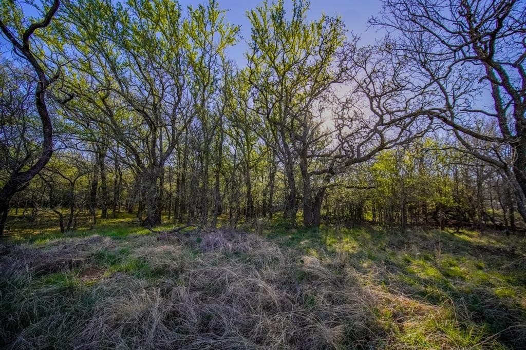 26.68 acres in Jack County - photo 24