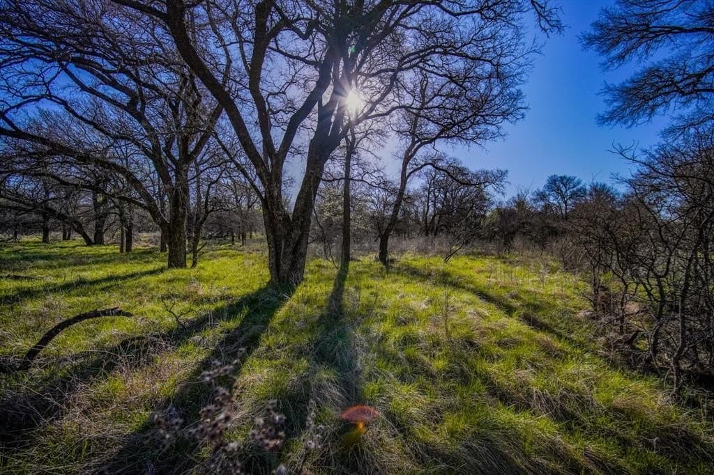 26.68 acres in Jack County - photo 38