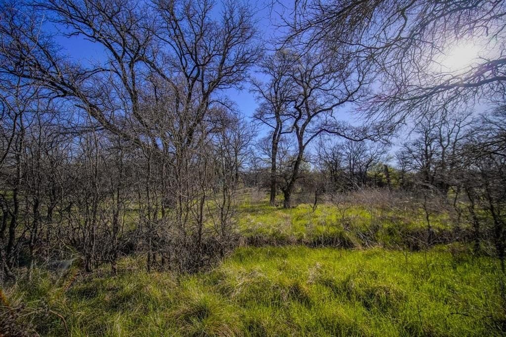 26.68 acres in Jack County - photo 36