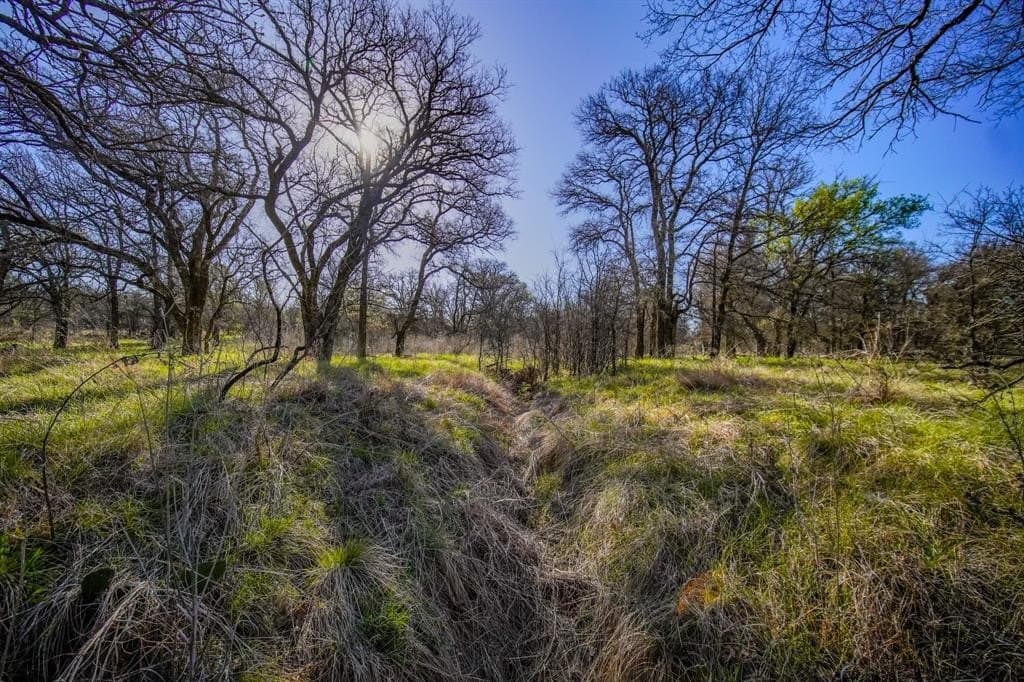 26.68 acres in Jack County - photo 33