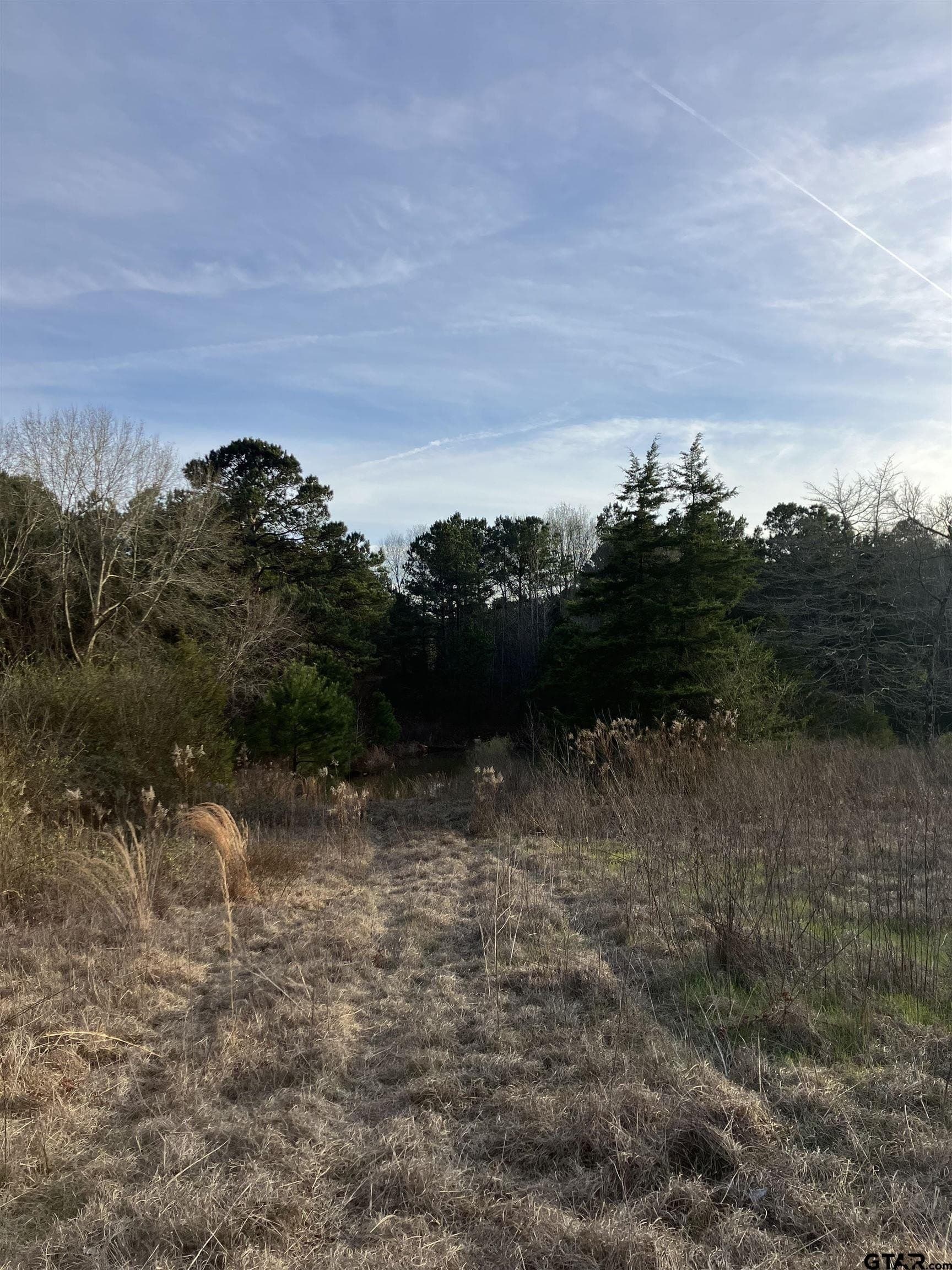 10.68 acres in Cherokee County - photo 4