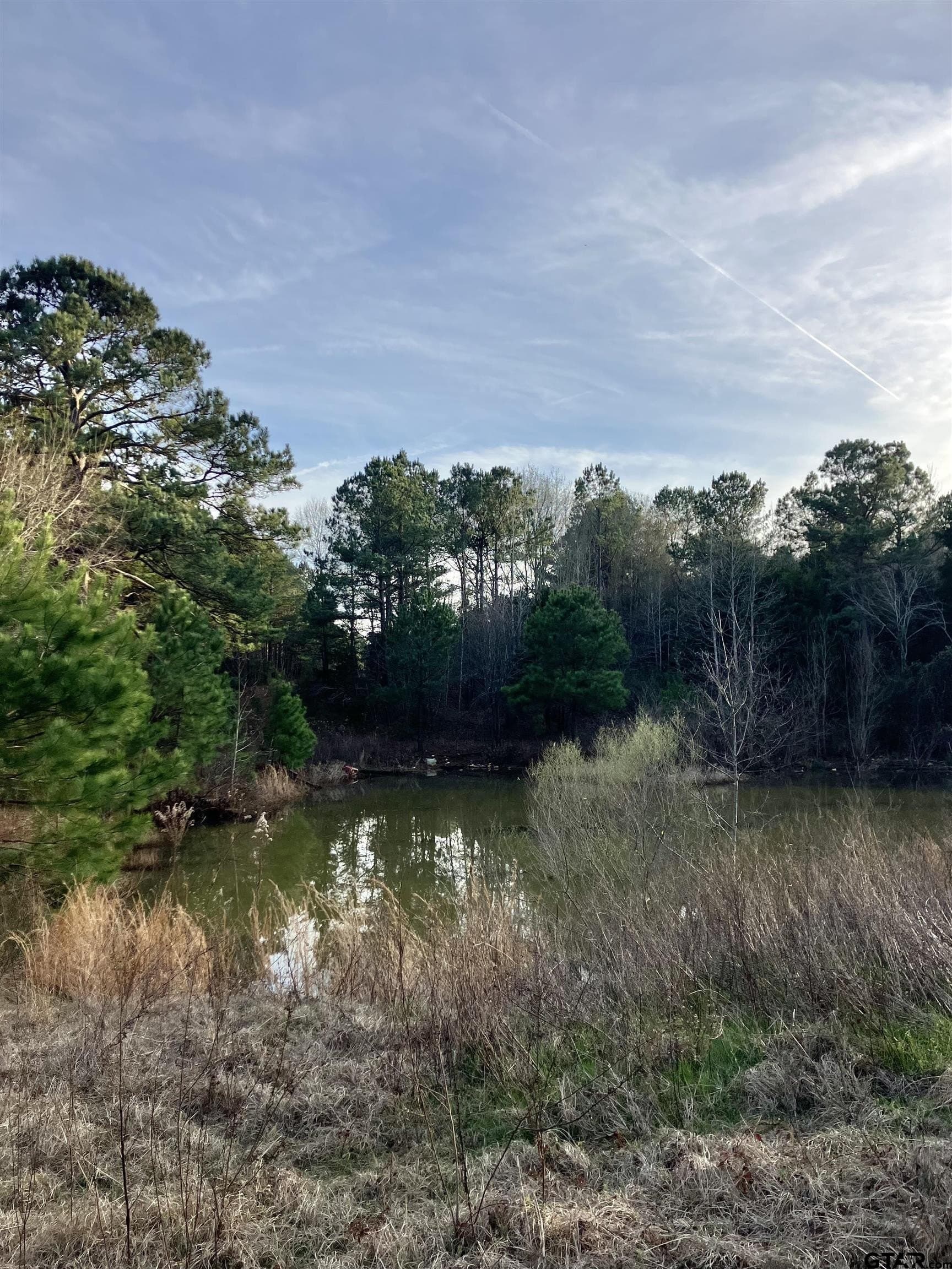 10.68 acres in Cherokee County - photo 5