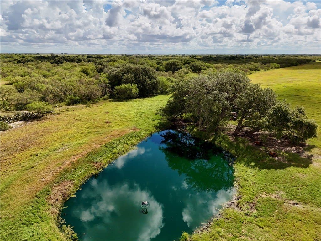 34.92 acres in Bee County - photo 33