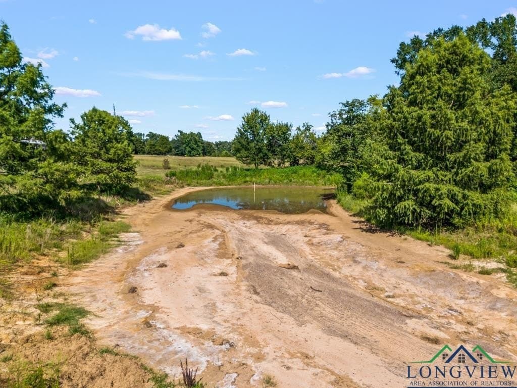 16.28 acres in Upshur County - photo 42
