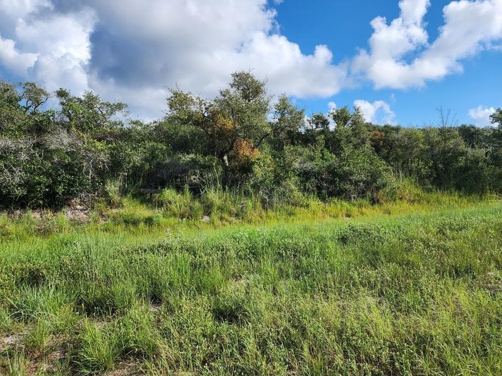 0 acres in Texas County - photo 2