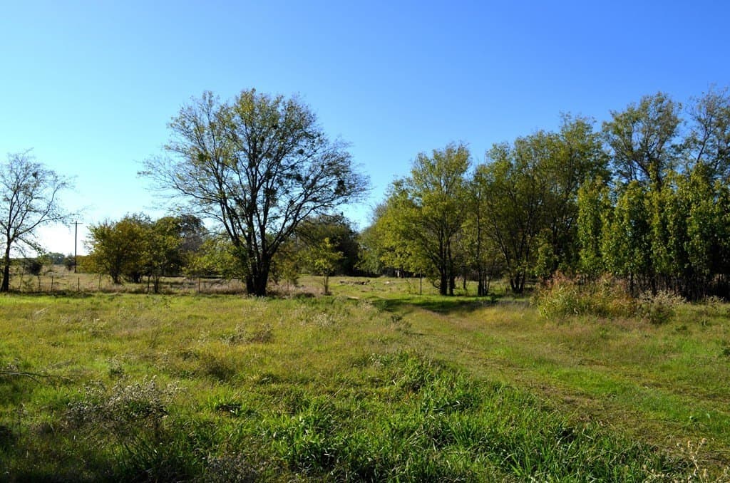 15.7 acres in Van Zandt County - photo 16