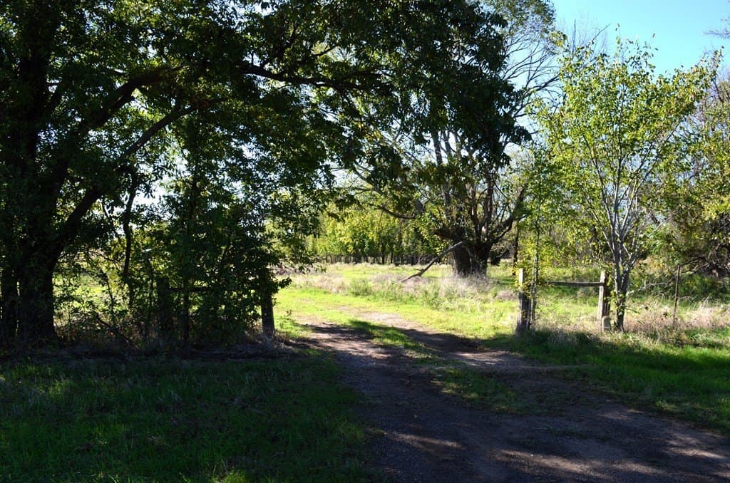 15.7 acres in Van Zandt County - photo 7