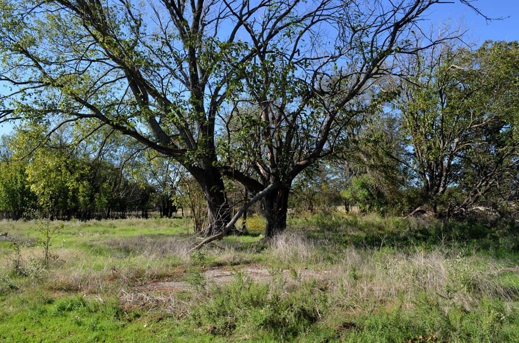 15.7 acres in Van Zandt County - photo 6