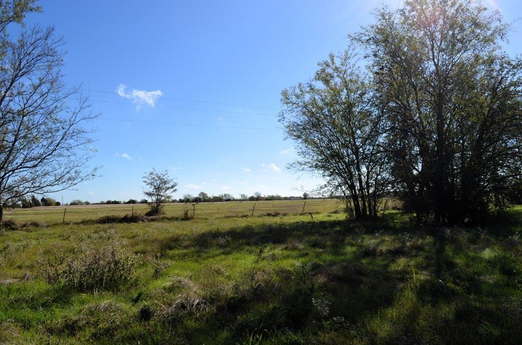 15.7 acres in Van Zandt County - photo 18